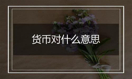 货币对什么意思