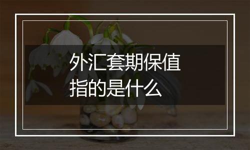 外汇套期保值指的是什么