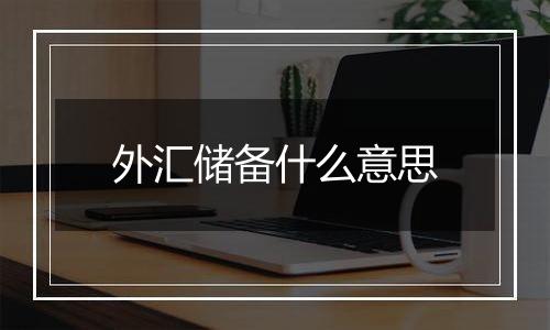 外汇储备什么意思