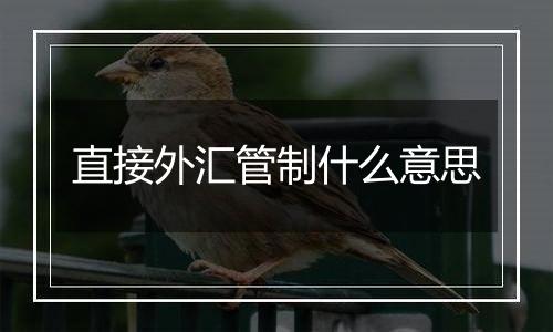 直接外汇管制什么意思