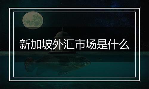 新加坡外汇市场是什么