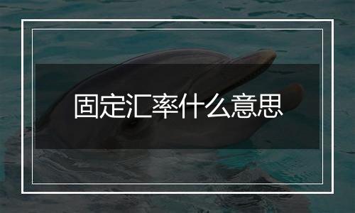 固定汇率什么意思