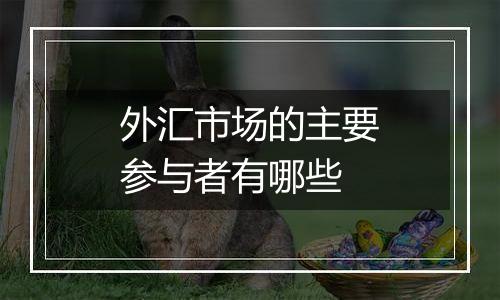 外汇市场的主要参与者有哪些