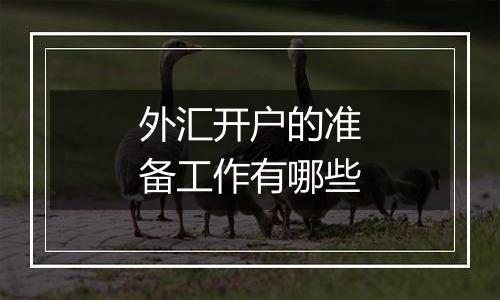外汇开户的准备工作有哪些