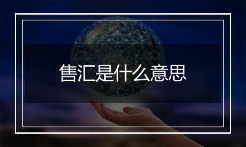 售汇是什么意思