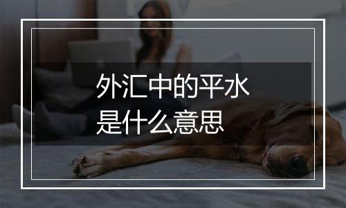 外汇中的平水是什么意思