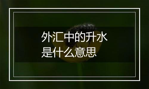 外汇中的升水是什么意思