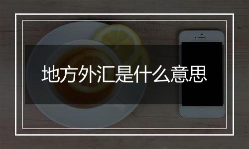 地方外汇是什么意思