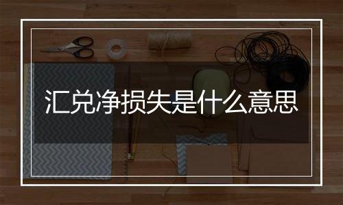 汇兑净损失是什么意思
