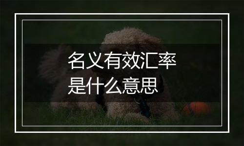 名义有效汇率是什么意思