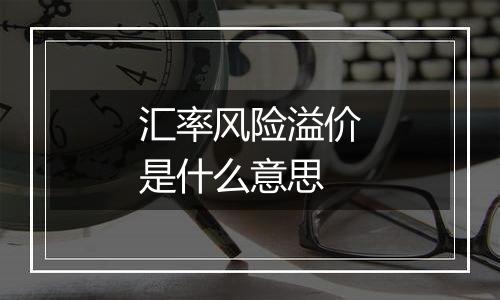 汇率风险溢价是什么意思
