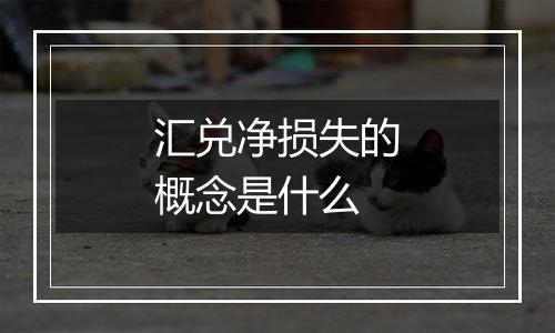 汇兑净损失的概念是什么