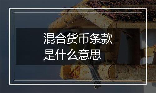 混合货币条款是什么意思