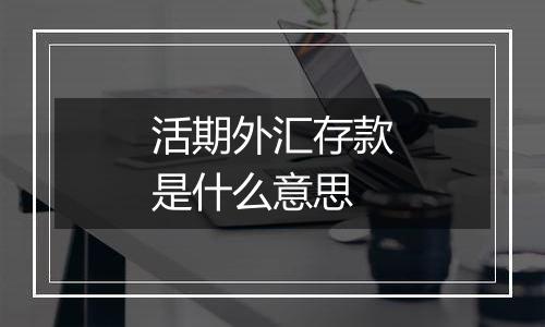 活期外汇存款是什么意思