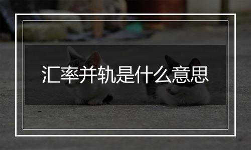 汇率并轨是什么意思