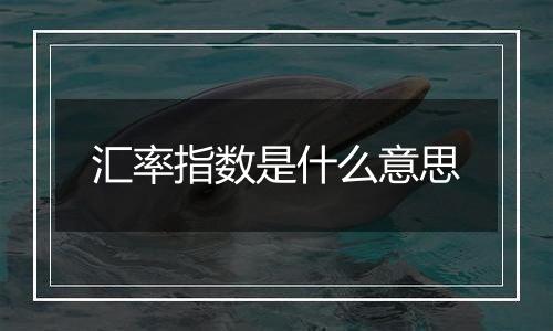 汇率指数是什么意思