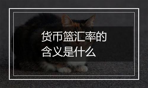 货币篮汇率的含义是什么