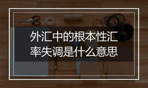 外汇中的根本性汇率失调是什么意思