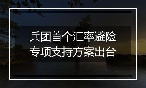 兵团首个汇率避险专项支持方案出台