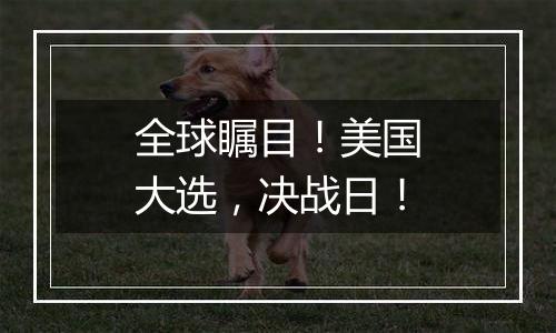 全球瞩目!美国大选,决战日!