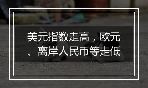 美元指数走高,欧元、离岸人民币等走低