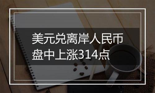 美元兑离岸人民币盘中上涨314点