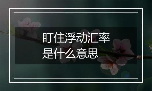 盯住浮动汇率是什么意思