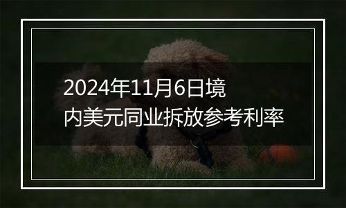 2024年11月6日境内美元同业拆放参考利率