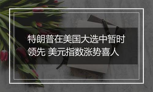 特朗普在美国大选中暂时领先 美元指数涨势喜人
