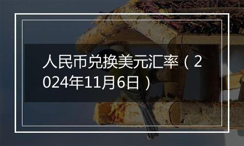 人民币兑换美元汇率(2024年11月6日)