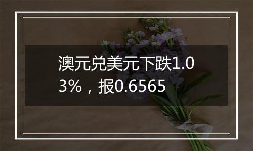 澳元兑美元下跌1.03%,报0.6565