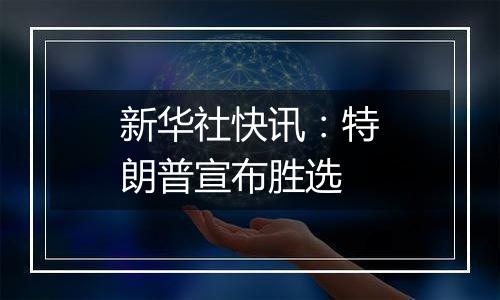 新华社快讯:特朗普宣布胜选