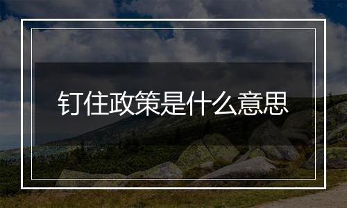 钉住政策是什么意思