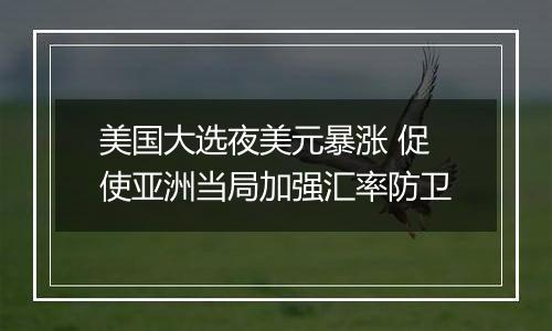美国大选夜美元暴涨 促使亚洲当局加强汇率防卫