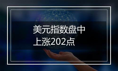 美元指数盘中上涨202点