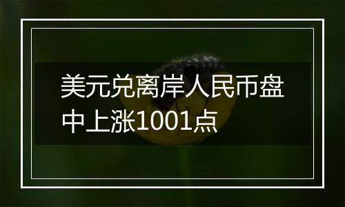 美元兑离岸人民币盘中上涨1001点