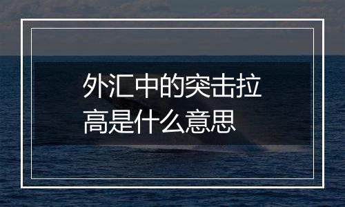 外汇中的突击拉高是什么意思