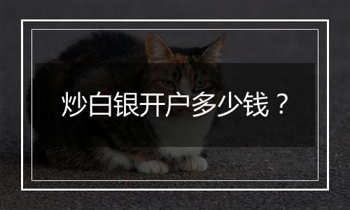 炒白银开户多少钱?
