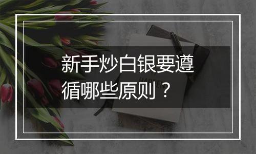 新手炒白银要遵循哪些原则?