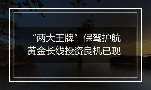 “两大王牌”保驾护航 黄金长线投资良机已现