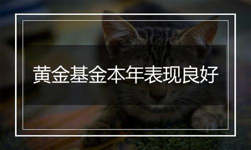 黄金基金本年表现良好