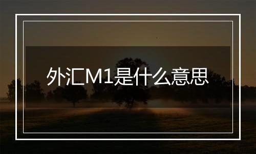 外汇M1是什么意思