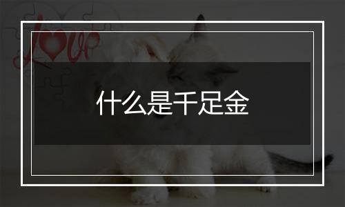 什么是千足金