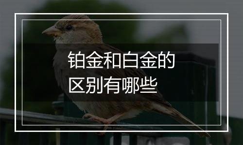 铂金和白金的区别有哪些