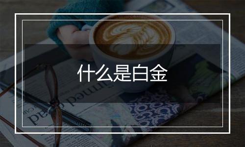什么是白金