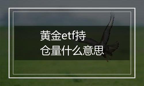 黄金etf持仓量什么意思