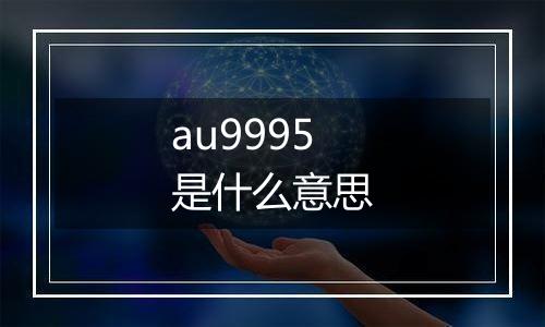 au9995是什么意思