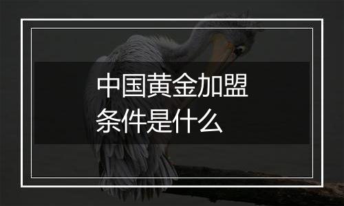中国黄金加盟条件是什么