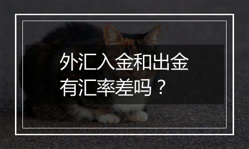 外汇入金和出金有汇率差吗?