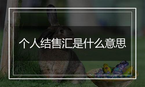 个人结售汇是什么意思